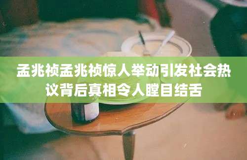 孟兆祯孟兆祯惊人举动引发社会热议背后真相令人瞠目结舌