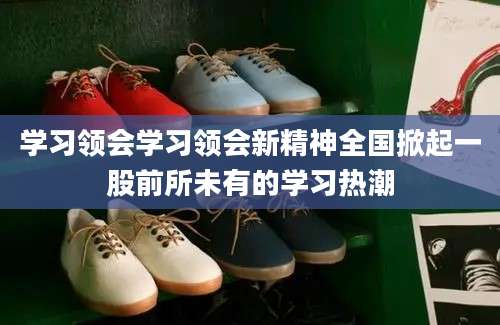学习领会学习领会新精神全国掀起一股前所未有的学习热潮