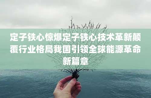 定子铁心惊爆定子铁心技术革新颠覆行业格局我国引领全球能源革命新篇章
