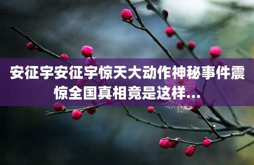 安征宇安征宇惊天大动作神秘事件震惊全国真相竟是这样...