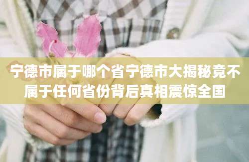 宁德市属于哪个省宁德市大揭秘竟不属于任何省份背后真相震惊全国
