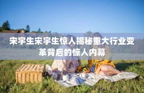 宋宇生宋宇生惊人揭秘重大行业变革背后的惊人内幕