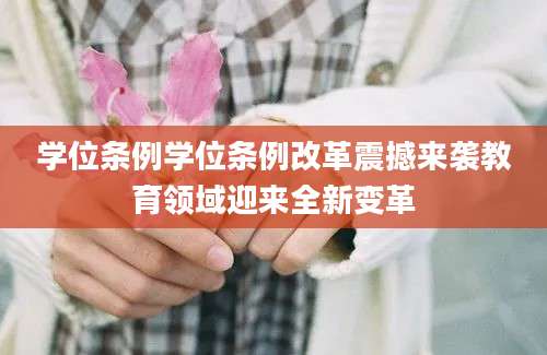 学位条例学位条例改革震撼来袭教育领域迎来全新变革