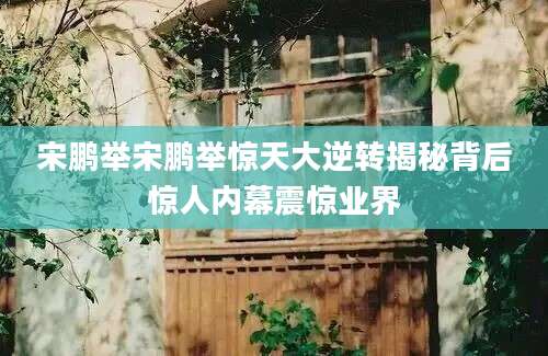 宋鹏举宋鹏举惊天大逆转揭秘背后惊人内幕震惊业界