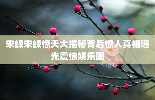 宋嵘宋嵘惊天大揭秘背后惊人真相曝光震惊娱乐圈